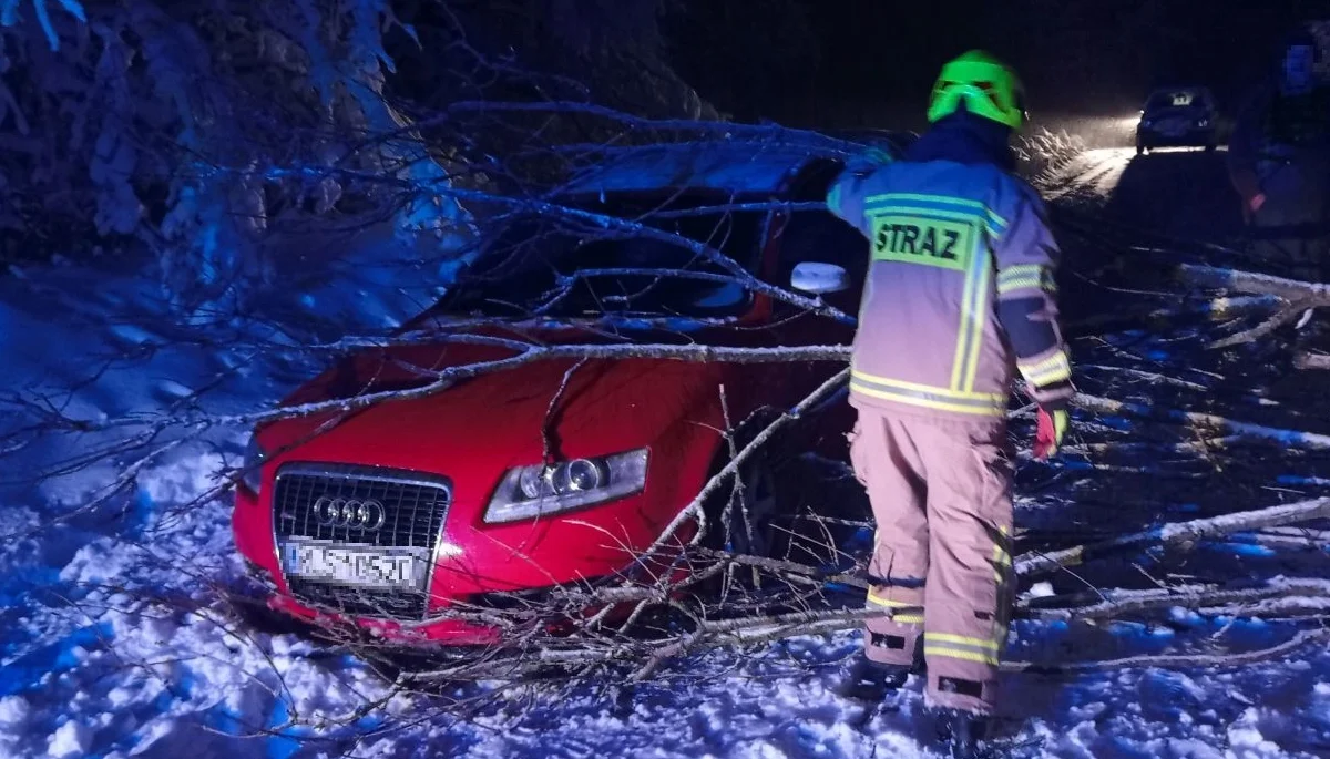 Drzewo spadło na jadący samochód. W pojeździe były dwie osoby [ZDJĘCIA] - Zdjęcie główne