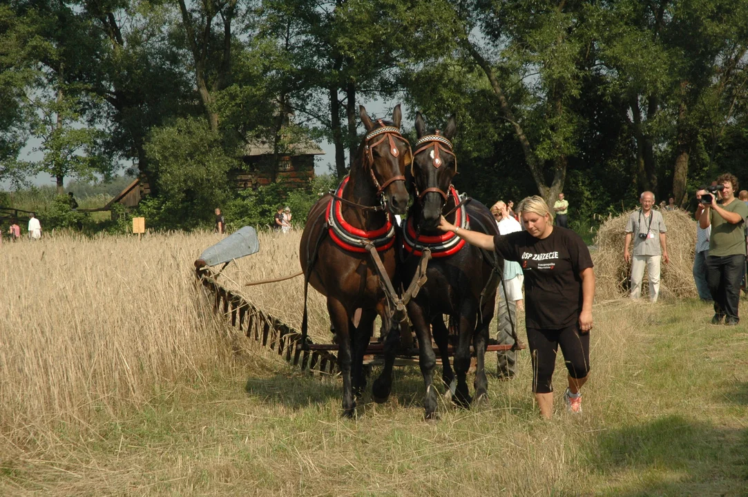 Koń, jaki jest.. - skansen w Kolbuszowej 2011