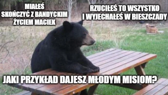 Memy o Bieszczadach