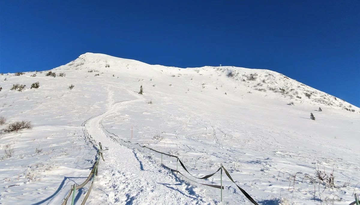 Bieszczady. Warunki do wędrówek po górskich szlakach poprawiły się. W paśmie połonin leży do 60 centymetrów śniegu [ZDJĘCIA] - Zdjęcie główne