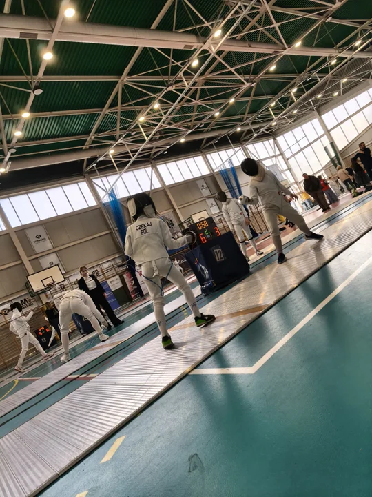 Sokół w Krzeszowicach