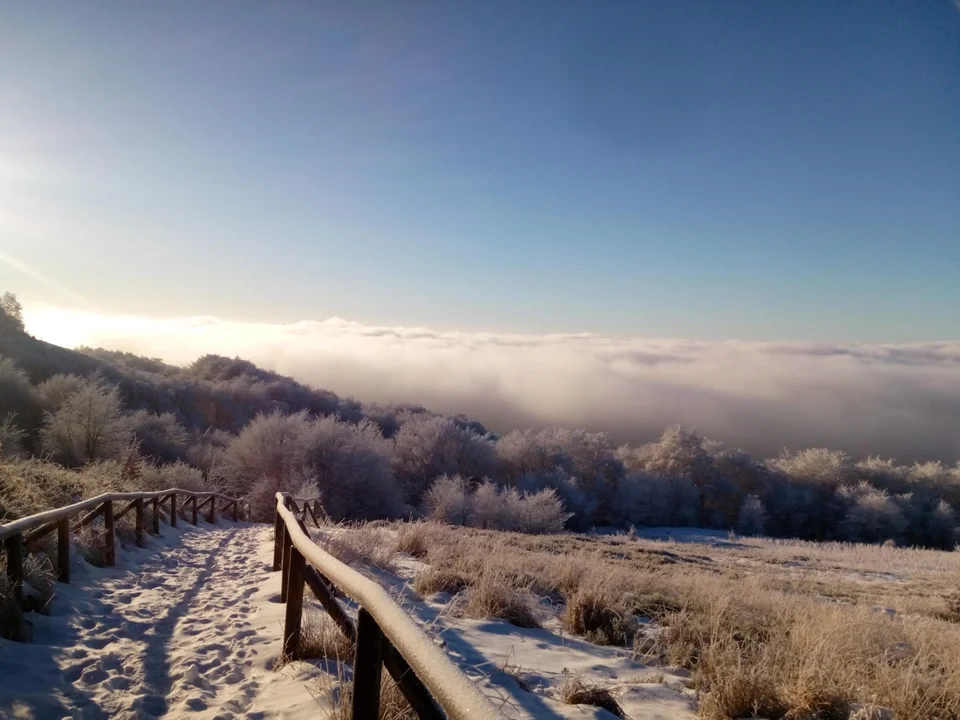 Inwersja na Tarnicy