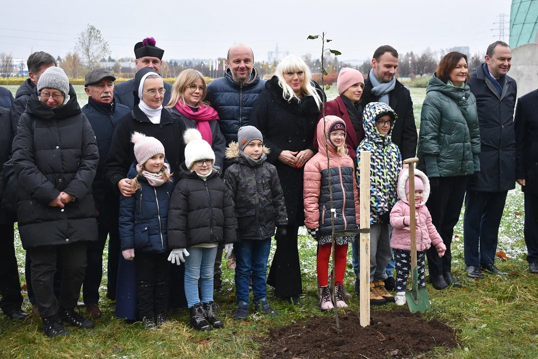 Zasadzenie drzew upamiętniających Błogosławioną Rodzinę Ulmów w Parku Papieskim w Rzeszowie