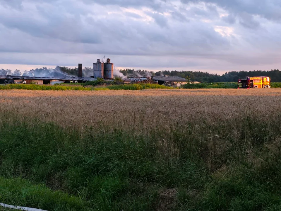 Pożar kurnika na Dąbiu