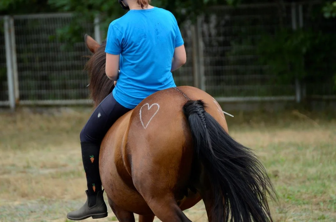 Tak mieszkańcy bawili się na pikniki w Nowej Wsi.