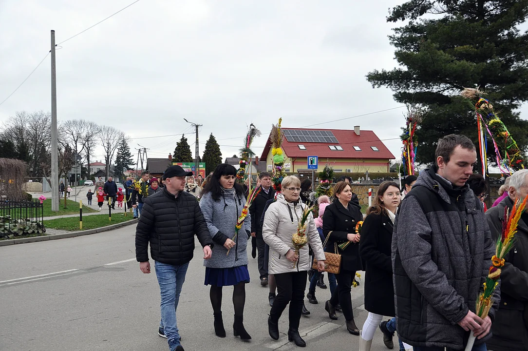 Niedziela Palmowa w Gawłuszowicach