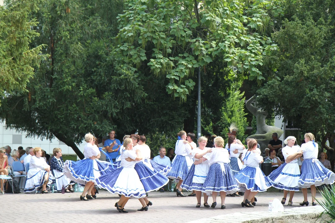 Występ miast partnerskich