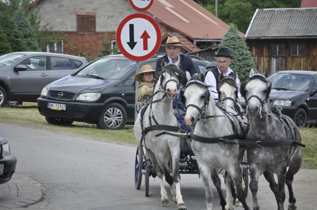 Parada konna w Żarówce