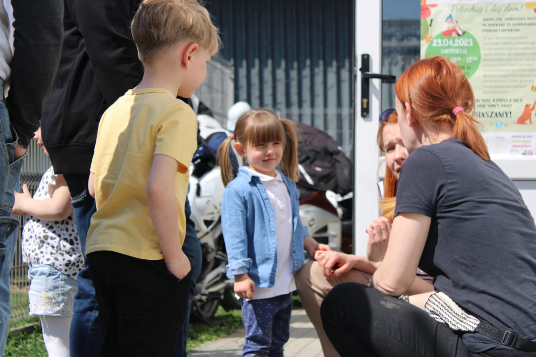 Dzień otwarty w Schronisku dla Bezdomnych Zwierząt w Mielcu