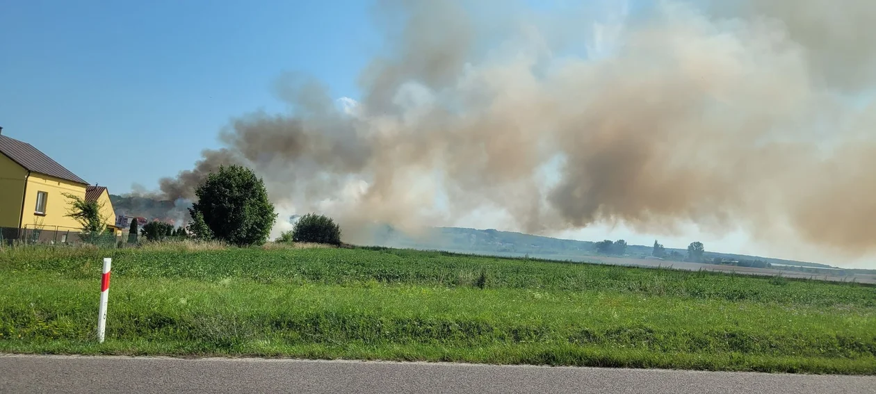 Pożar ścierniska w okolicach Rzeszowa [ZDJĘCIA]