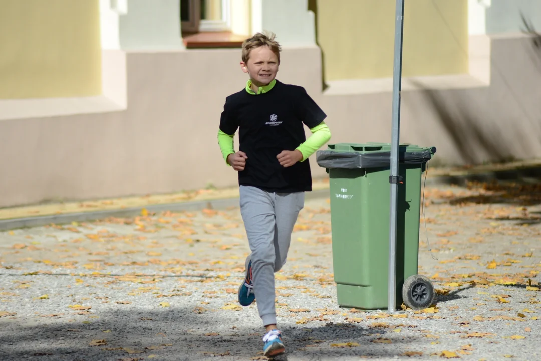 44. Bieg Nadwiślański im. Alfreda Freyera Baranów Sandomierski - Tarnobrzeg - starty dzieci i młodzieży