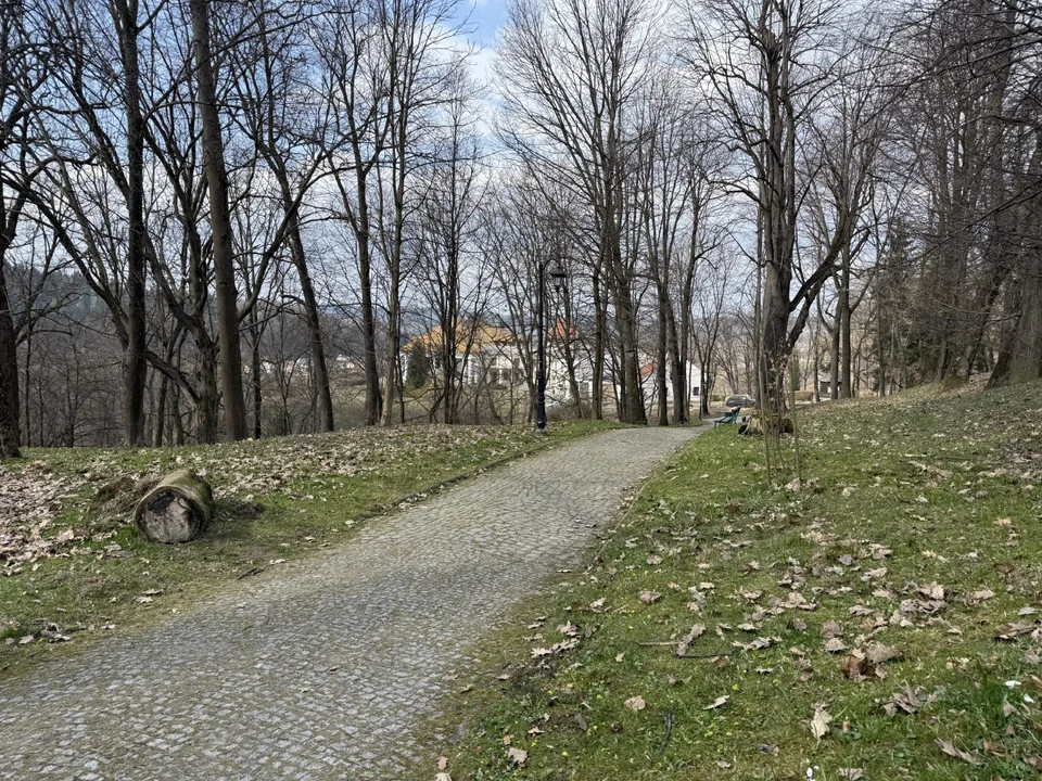 Jest plan na rewaloryzację parku zamkowego w Lesku