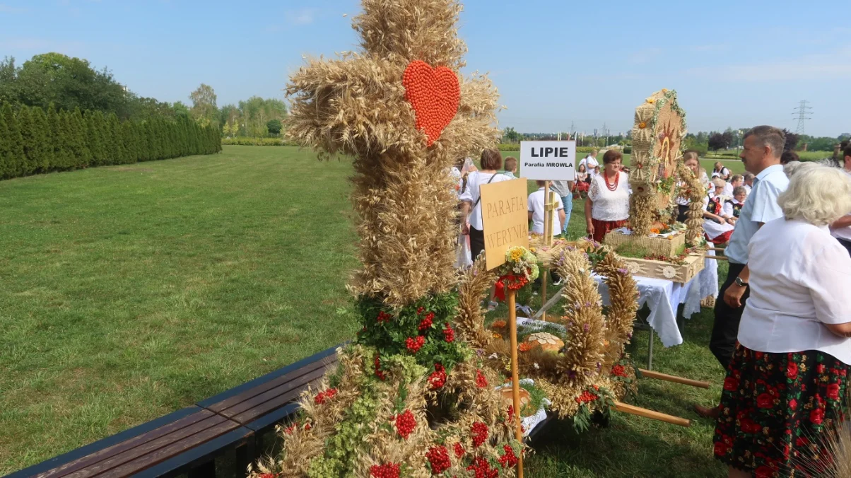 Dożynki diecezjalne w Rzeszowie. Zobacz piękne wieńce [ZDJĘCIA]