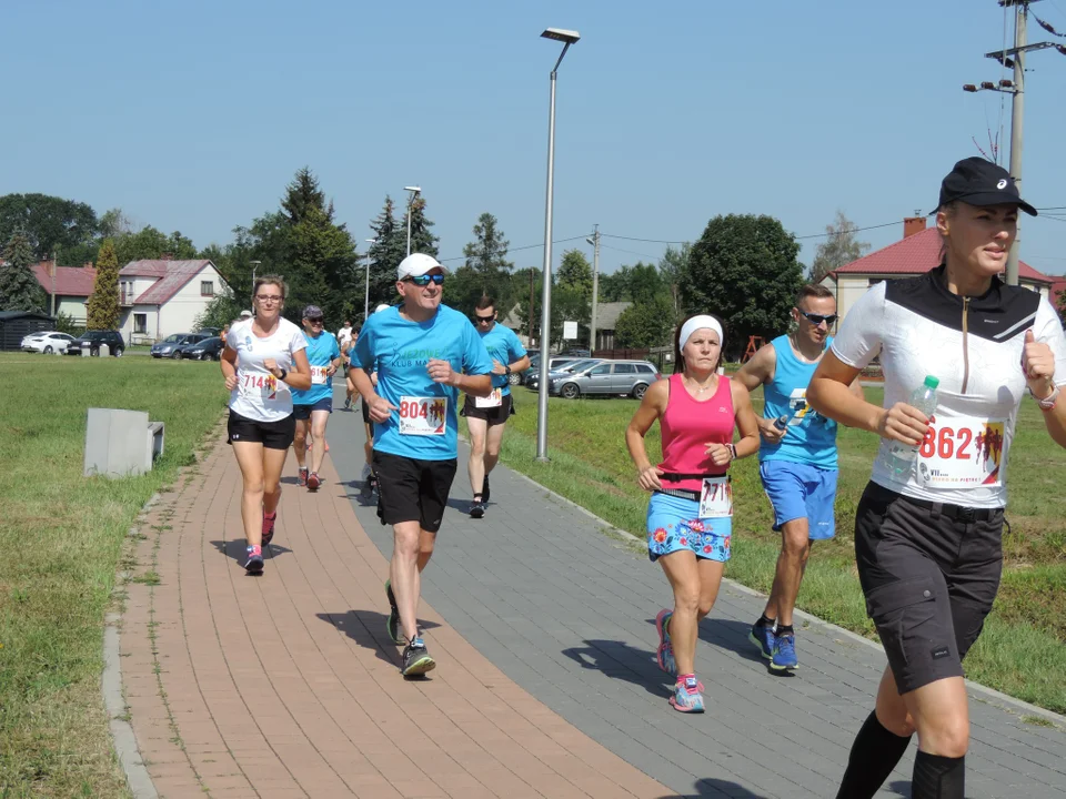 Bieg "Nisko na Piątkę" - zobacz zdjęcia