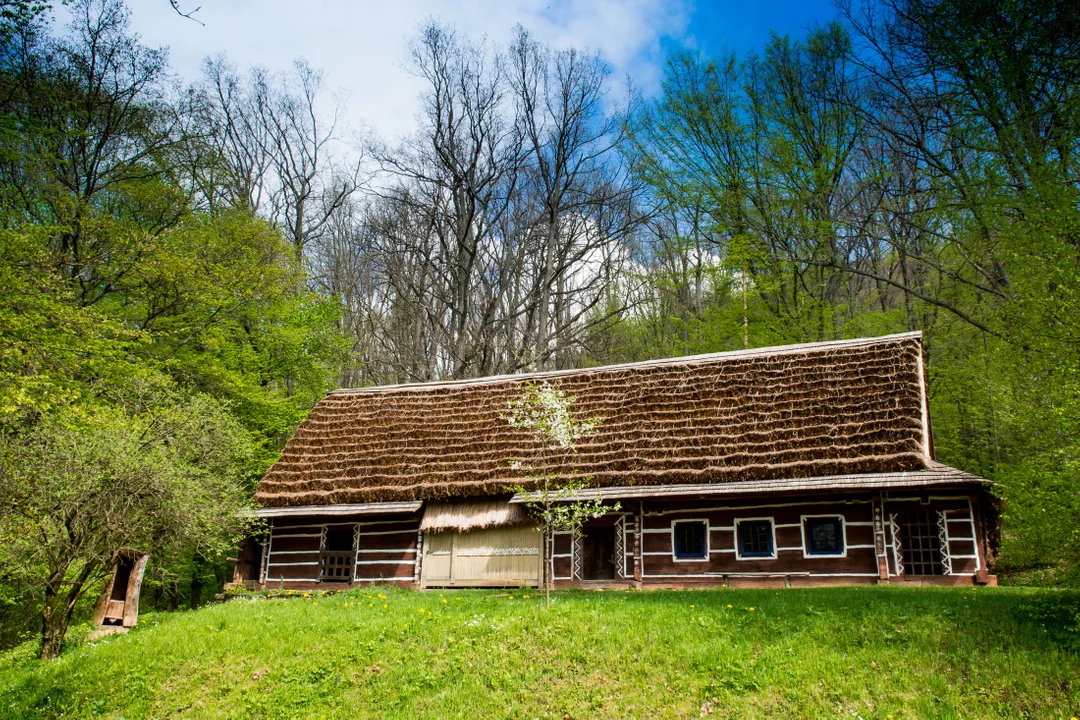 Sanocki skansen wiosną jest wyjątkowo piękny