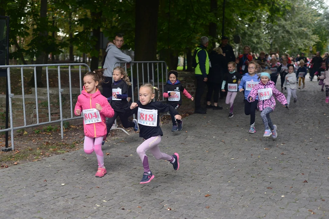 Rekordowa frekwencja wśród dzieci i młodzieży na 45. Biegu Nadwiślańskim im. Alfreda Freyera w Tarnobrzegu [ZDJĘCIA] - Zdjęcie główne