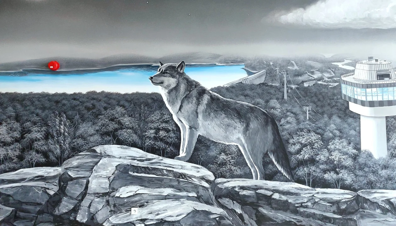 W Solinie powstał mural przedstawiający wilka. To wyraz uszanowania wyjątkowej bieszczadzkiej ostoi zwierząt [ZDJĘCIA] - Zdjęcie główne