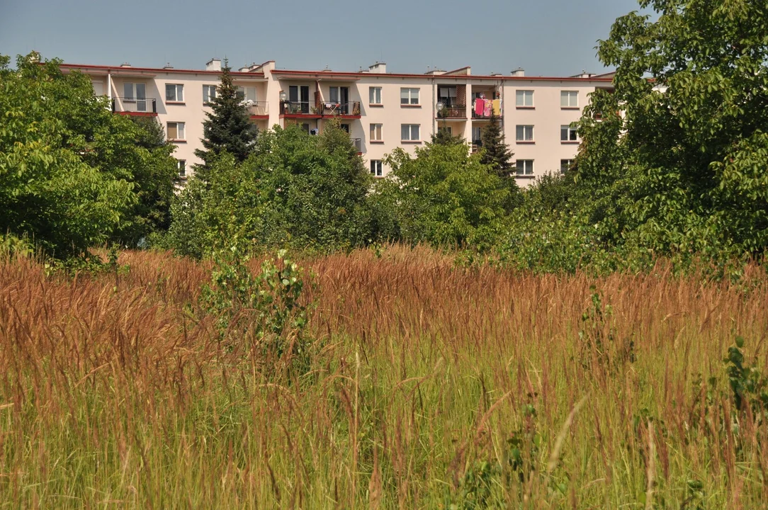 Ponad 100 mieszkań powstanie w Kolbuszowej. Gmina sprzedała działkę za 3 mln zł [ZDJĘCIA - MAPA] - Zdjęcie główne