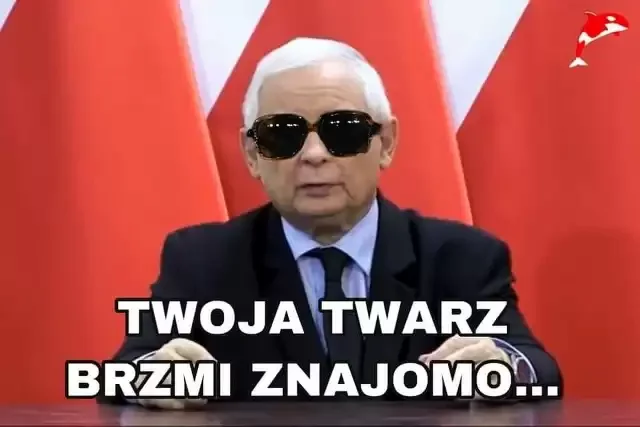 Jarosław Kaczyński "królem memów". Internauci są bezlitośni dla lidera Prawa i Sprawiedliwości zwłaszcza po słowach "o dawaniu w szyję przez młode kobiety" [MEMY] - Zdjęcie główne