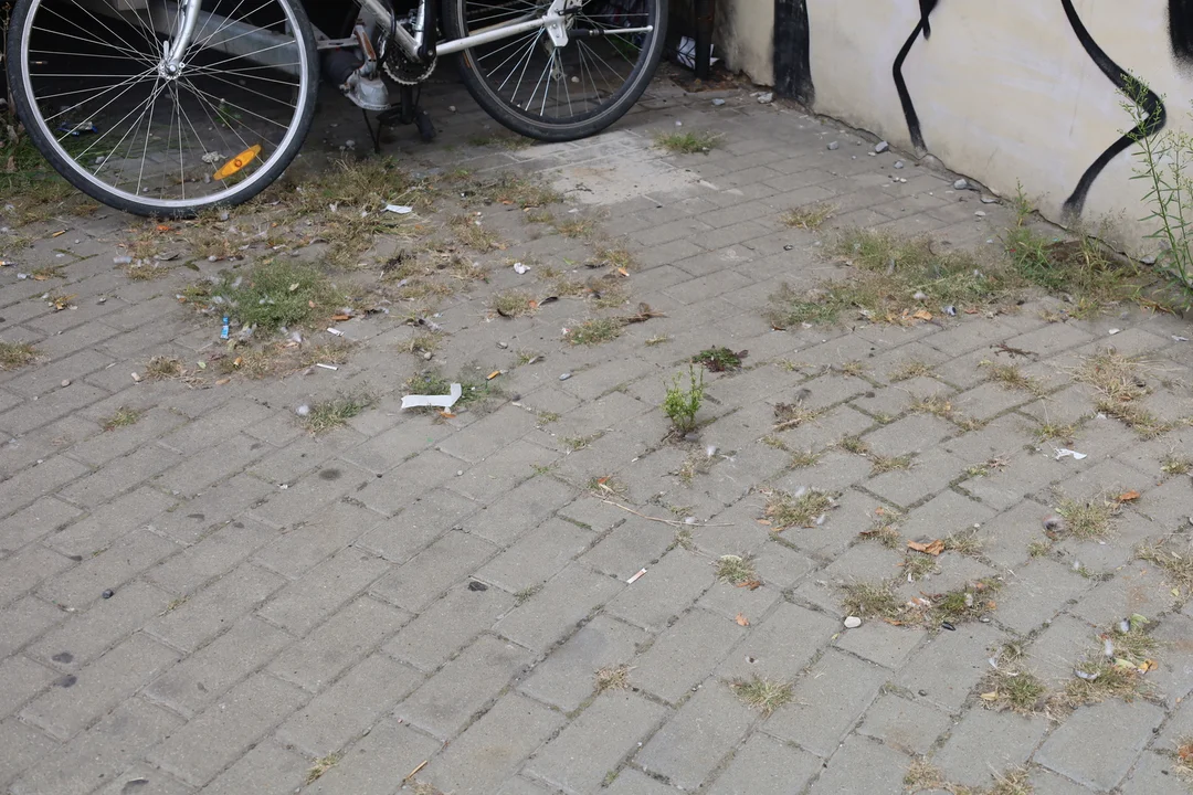Chodnik  od str OK