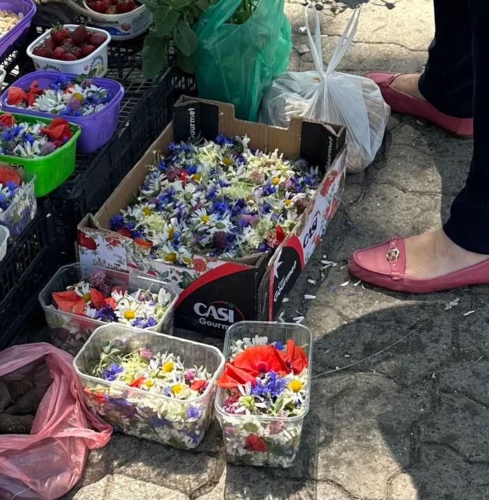Ceny kwiatków do sypania na Boże Ciało w Rzeszowie
