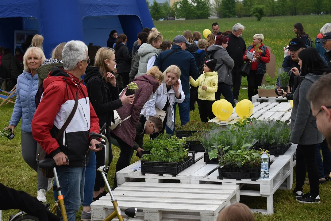 Piknik Ekologiczny #SadziMyRzeszów w Parku Papieskim. Prezydent Konrad Fijołek sadził drzewa z rzeszowianami