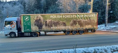 Pokazowa Zagroda Żubrów w Mucznem