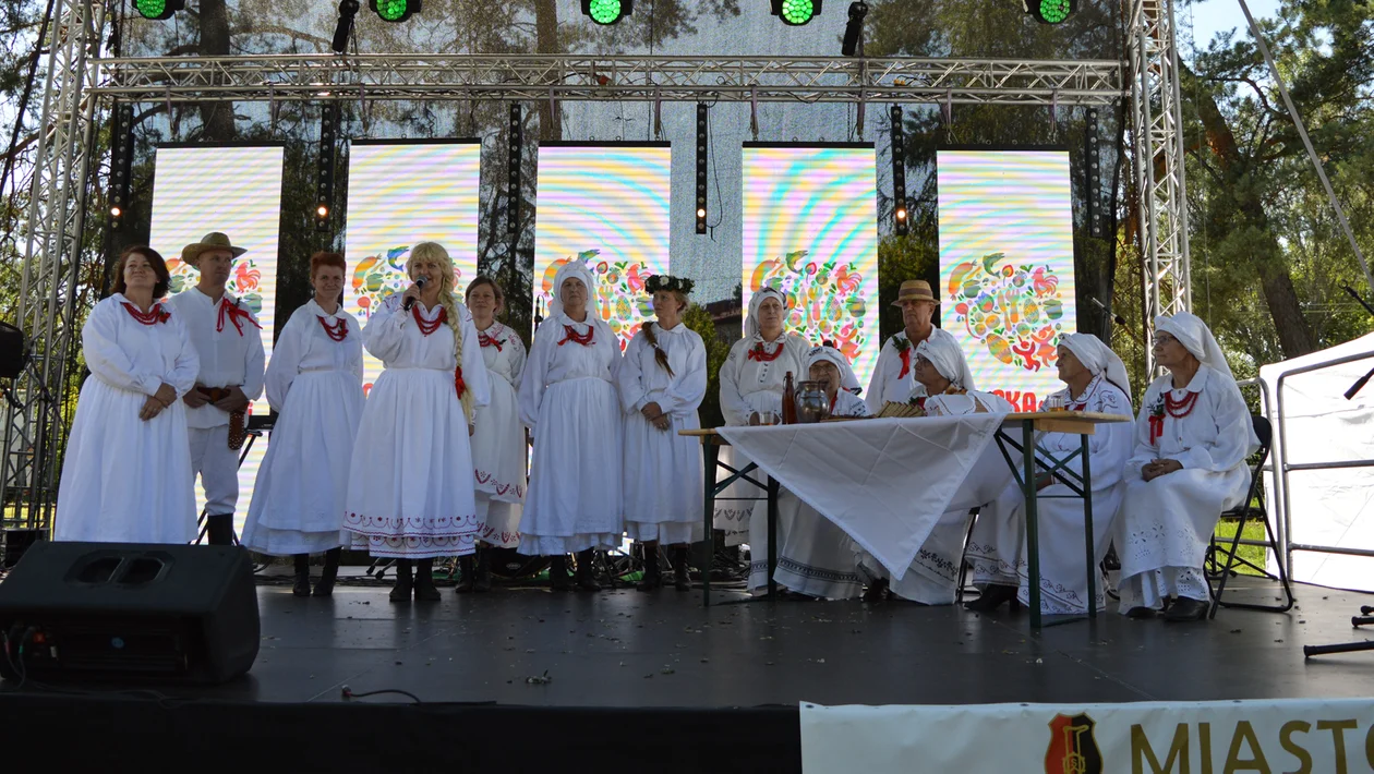 KGW Wola Raniżowska i KGW Mazury na festiwalu w Stalowej Woli