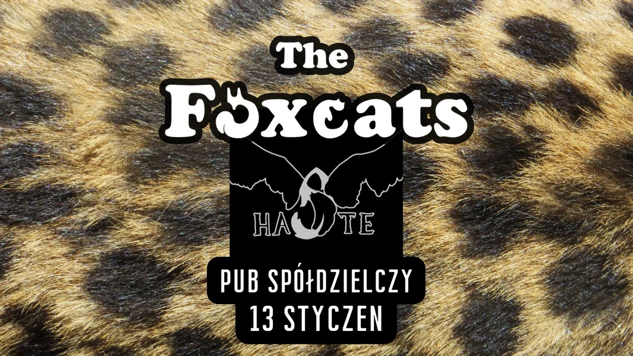 The FoxCats i HASTE w Pubie Spółdzielczym