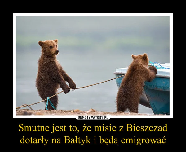 Memy o Bieszczadach