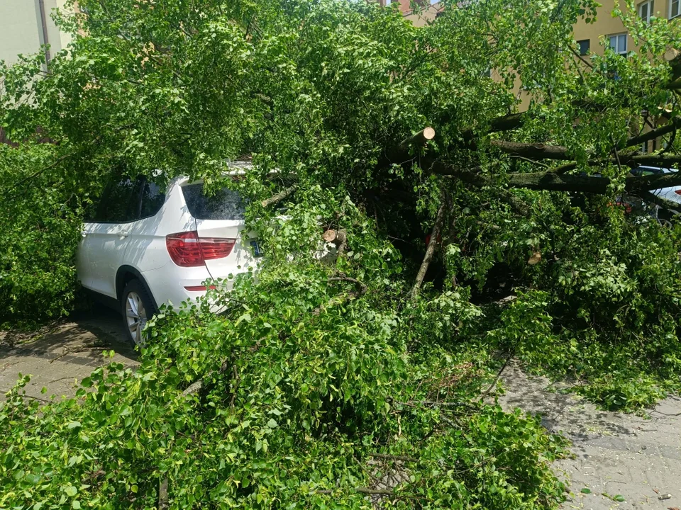 Drzewo runęło wprost na trzy samochody