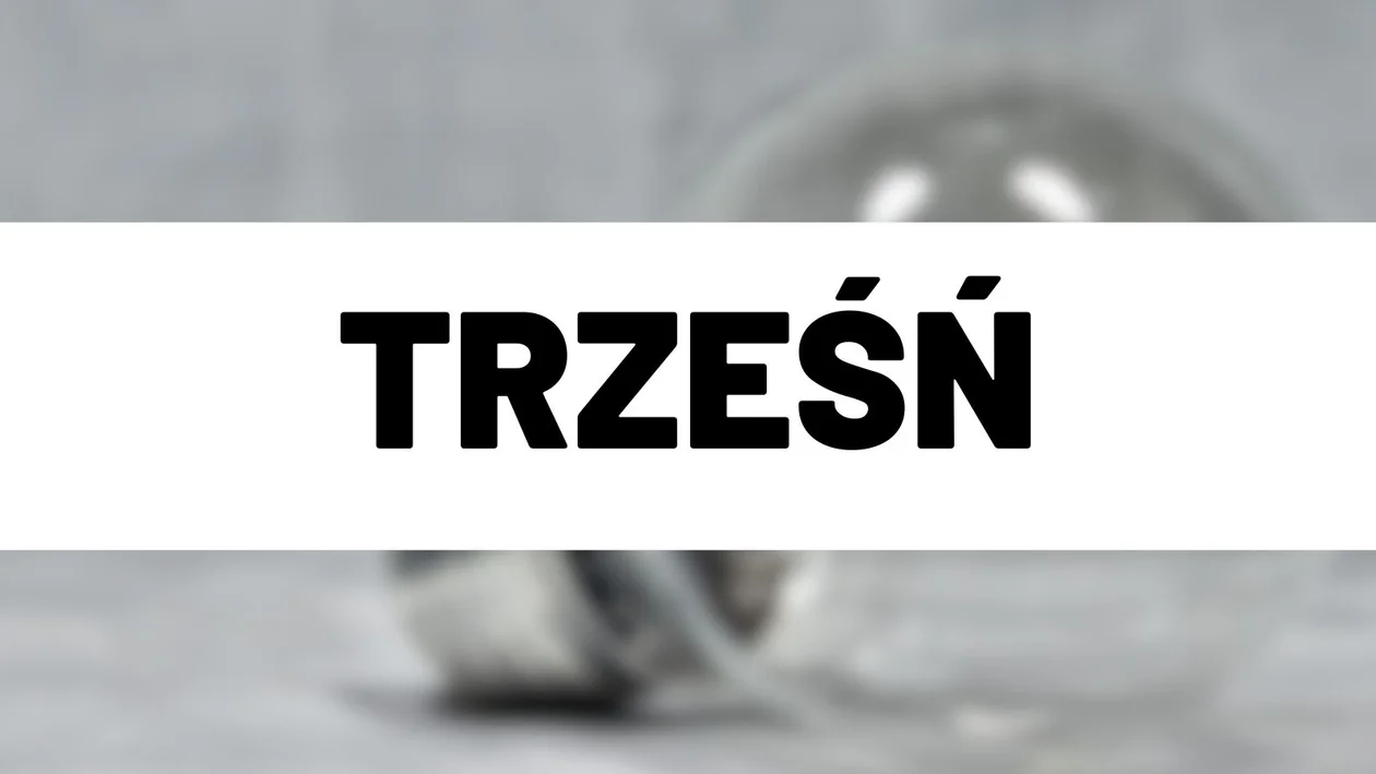 Trześń (gm. Niwiska)