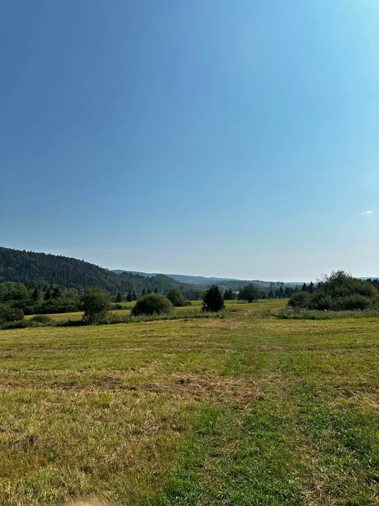 Tarnawa Niżna