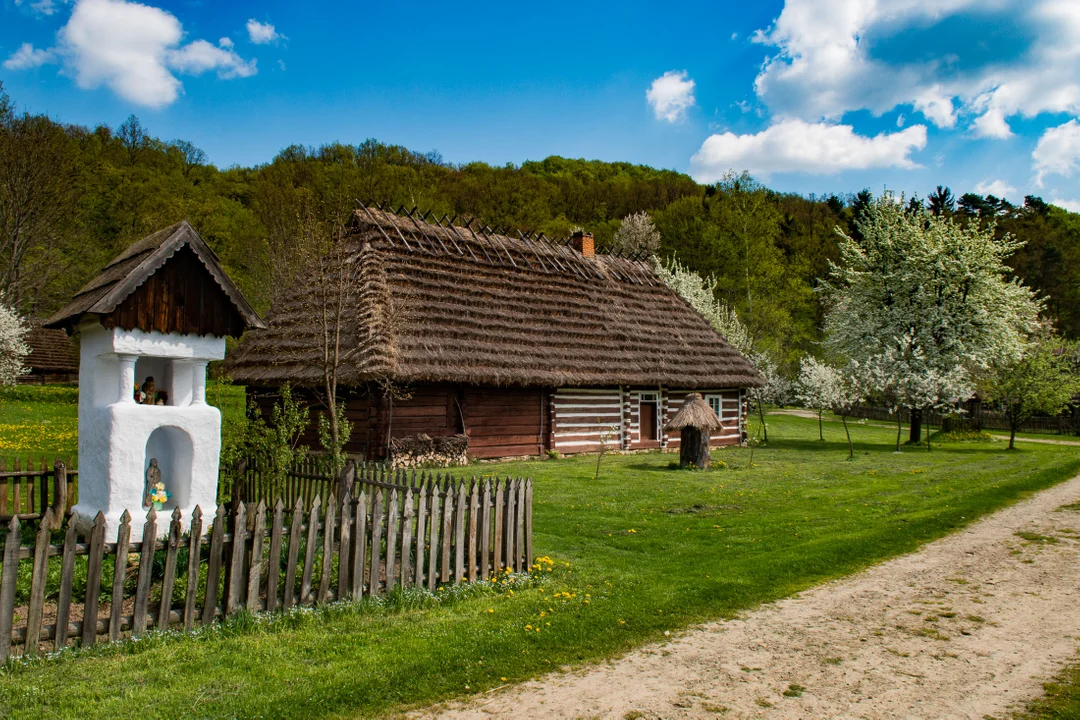 Sanocki skansen wiosną jest wyjątkowo piękny