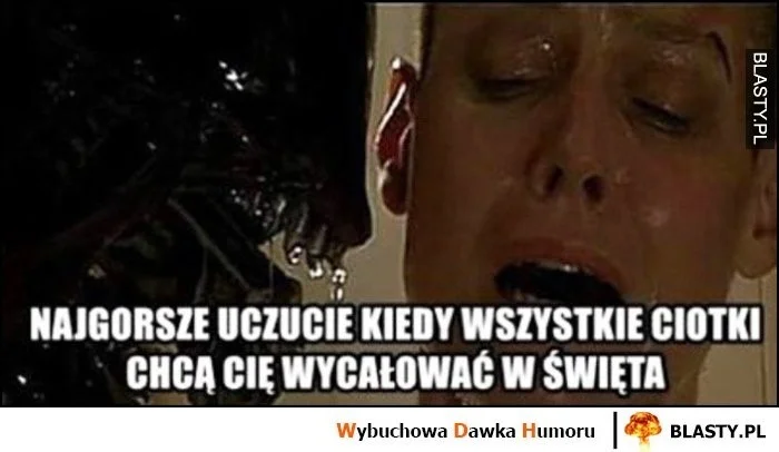 Memy na Święta Bożego Narodzenia