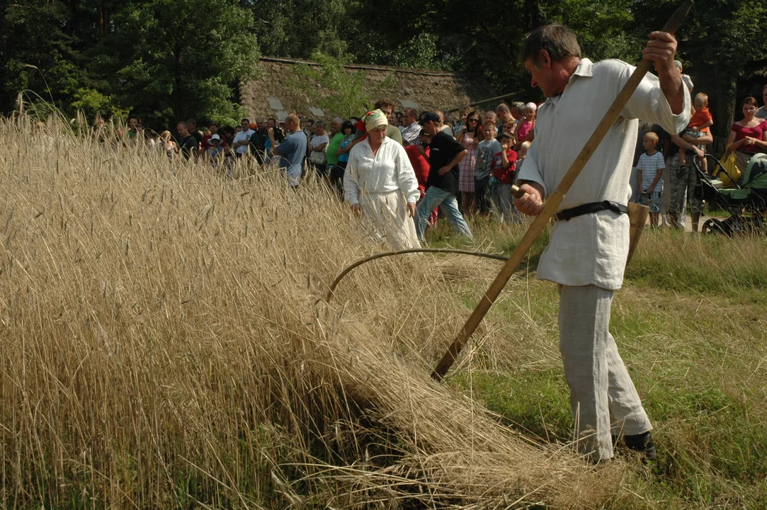 Koń, jaki jest.. - skansen w Kolbuszowej 2011