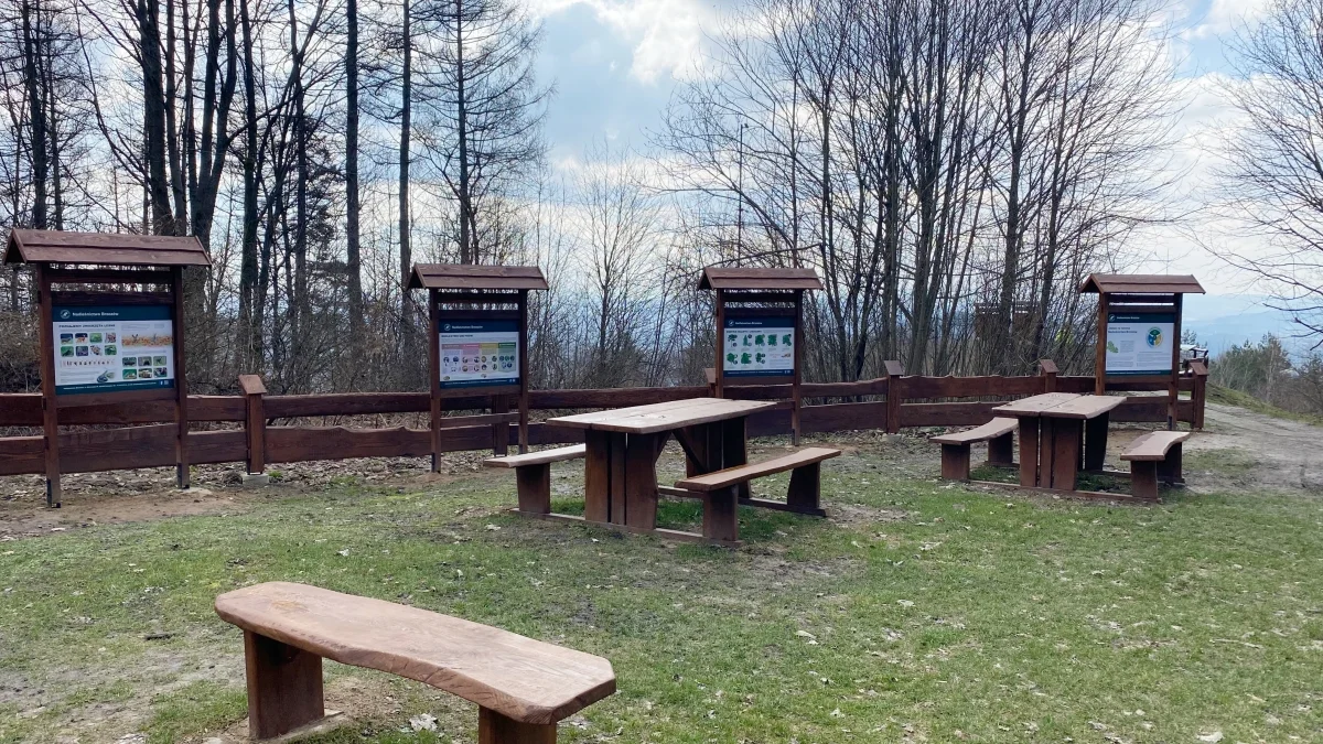 „Nowe życie” punktu widokowego z panoramą na Bieszczady. Jak wygląda teraz to miejsce? [ZDJĘCIA, WIDEO] - Zdjęcie główne