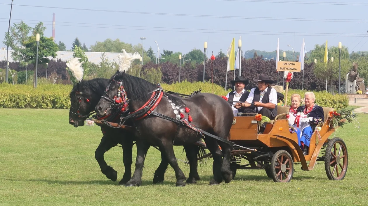 Dożynki diecezjalne w Rzeszowie 2022