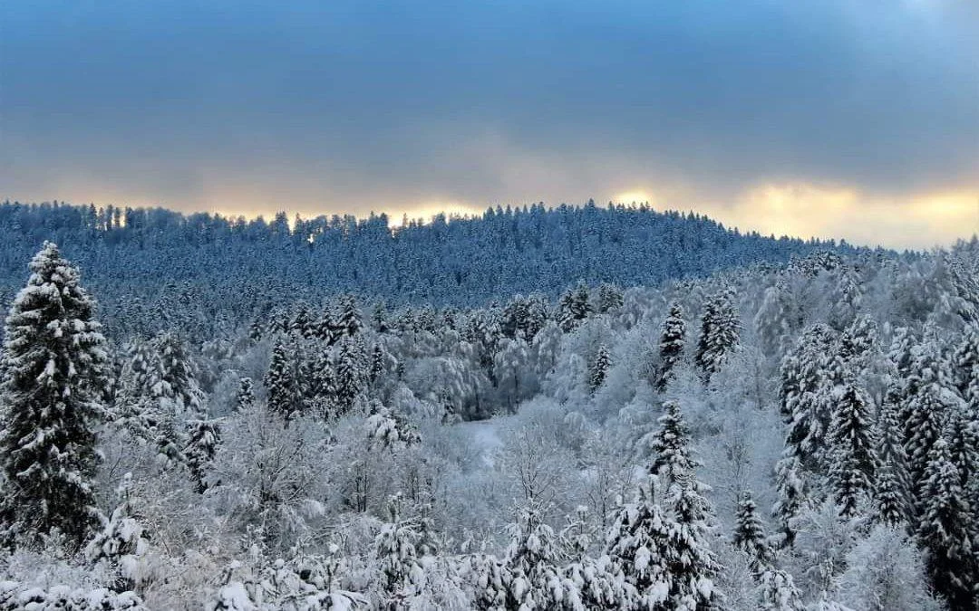 Bieszczady zimą