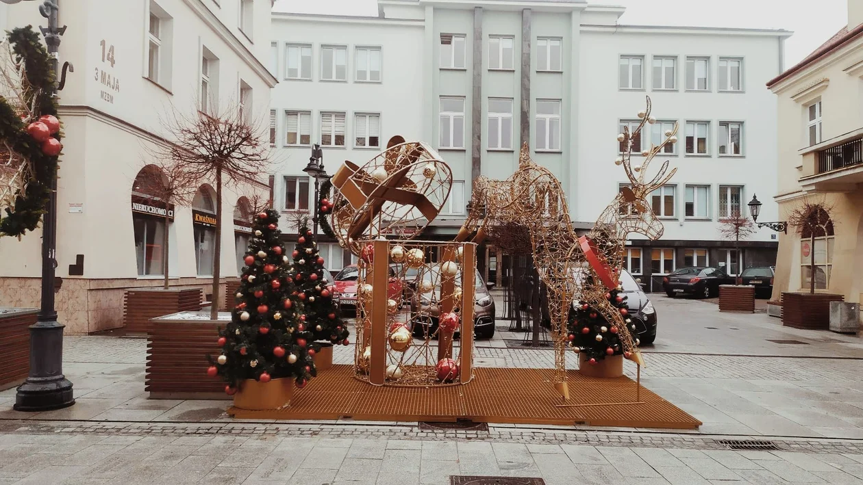 Świąteczna choinka już zagościła na rzeszowskim Rynku