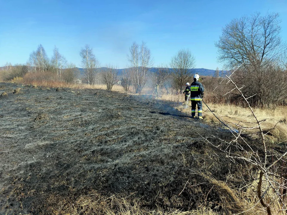 Pożar trawy przy obwodnicy Sanoka