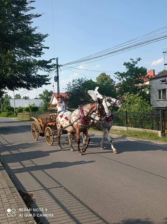 Piknik w Raniżowie