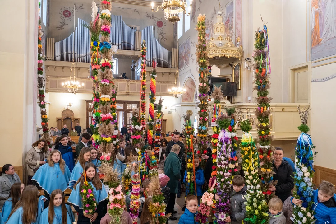 Konkurs palm wielkanocnych w Radomyślu Wielkim [ZDJĘCIA] - Zdjęcie główne