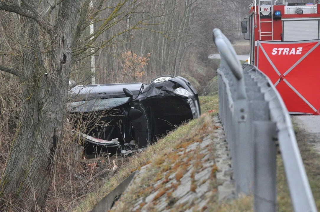 Śmiertelny wypadek na trasie Raniżów - Poręby Wolskie. Nie żyje mężczyzna [AKTUALIZACJA - MAPA] - Zdjęcie główne