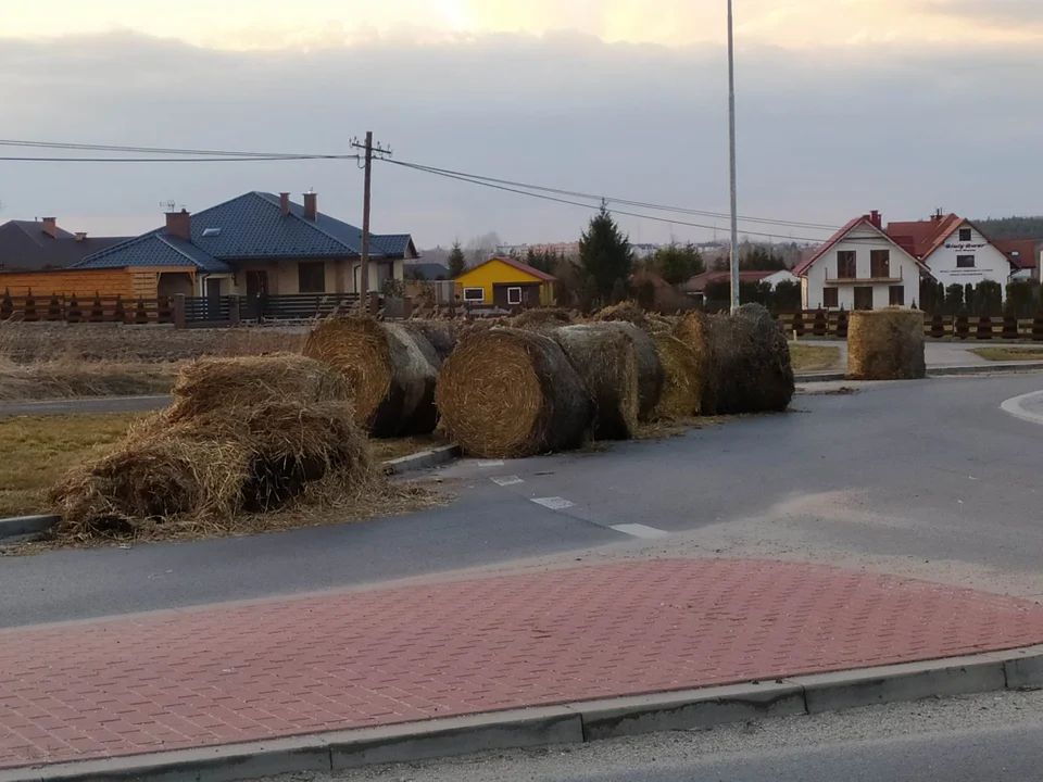 Mnóstwo słomy na rondzie przy ul. Sędziszowskiej w Kolbuszowej Górnej