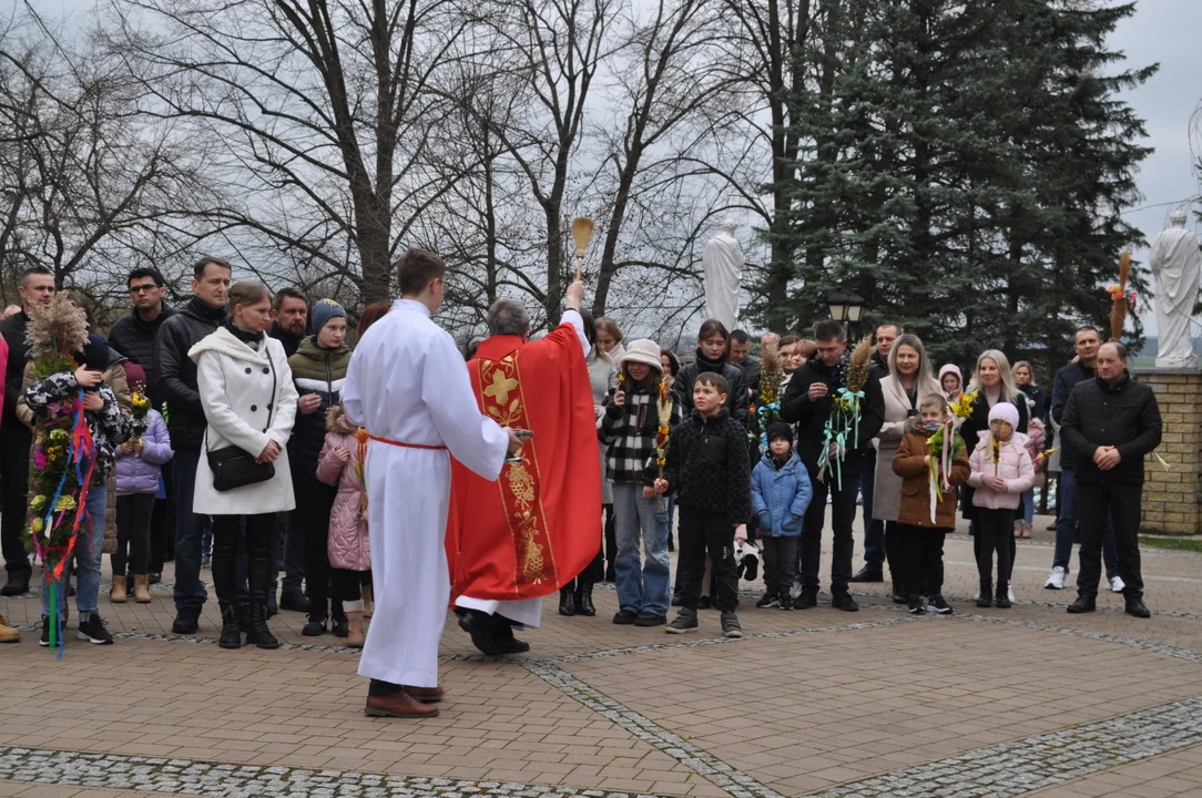 Parafianie w Przecławiu świętowali z pięknymi palmami własnego wykonania