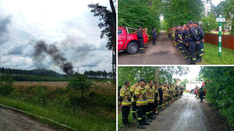 Pożar lasu w Czajkowej! Spokojnie, to tylko ćwiczenia [ZDJĘCIA] - Zdjęcie główne