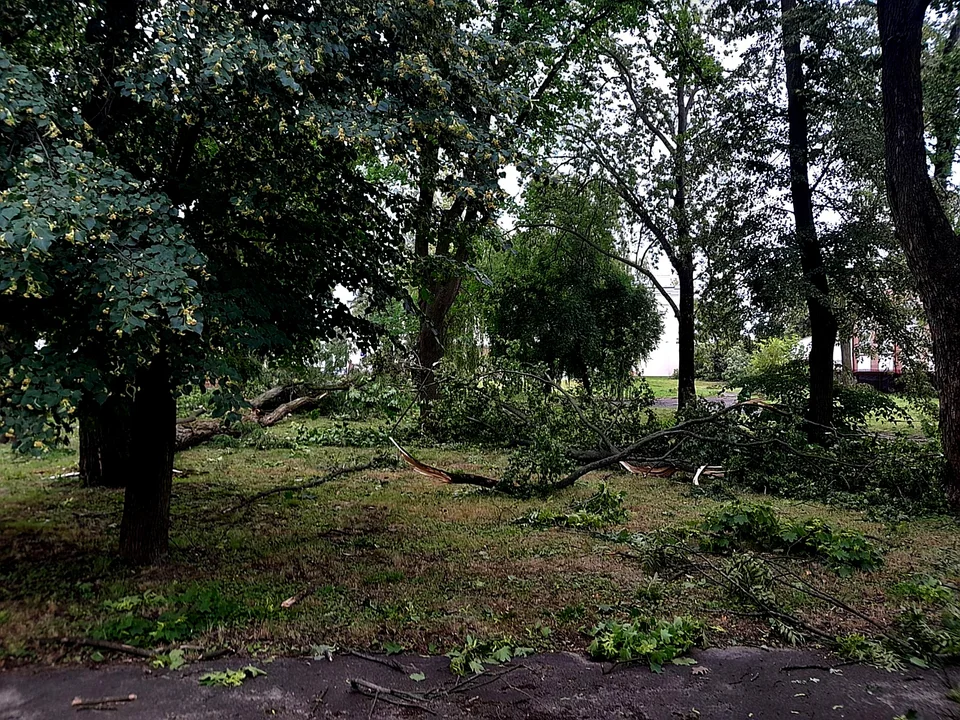 Burza przy ZS im. Groszkowskiego