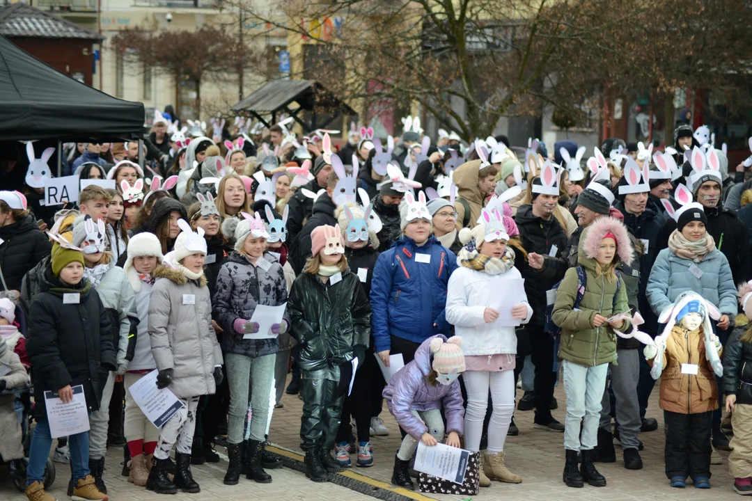 Rekord Polski dla Bartoszka Jędrasika chorego na SMA. W Tarnobrzegu zgromadziło się ponad 500 osób przebranych za króliki