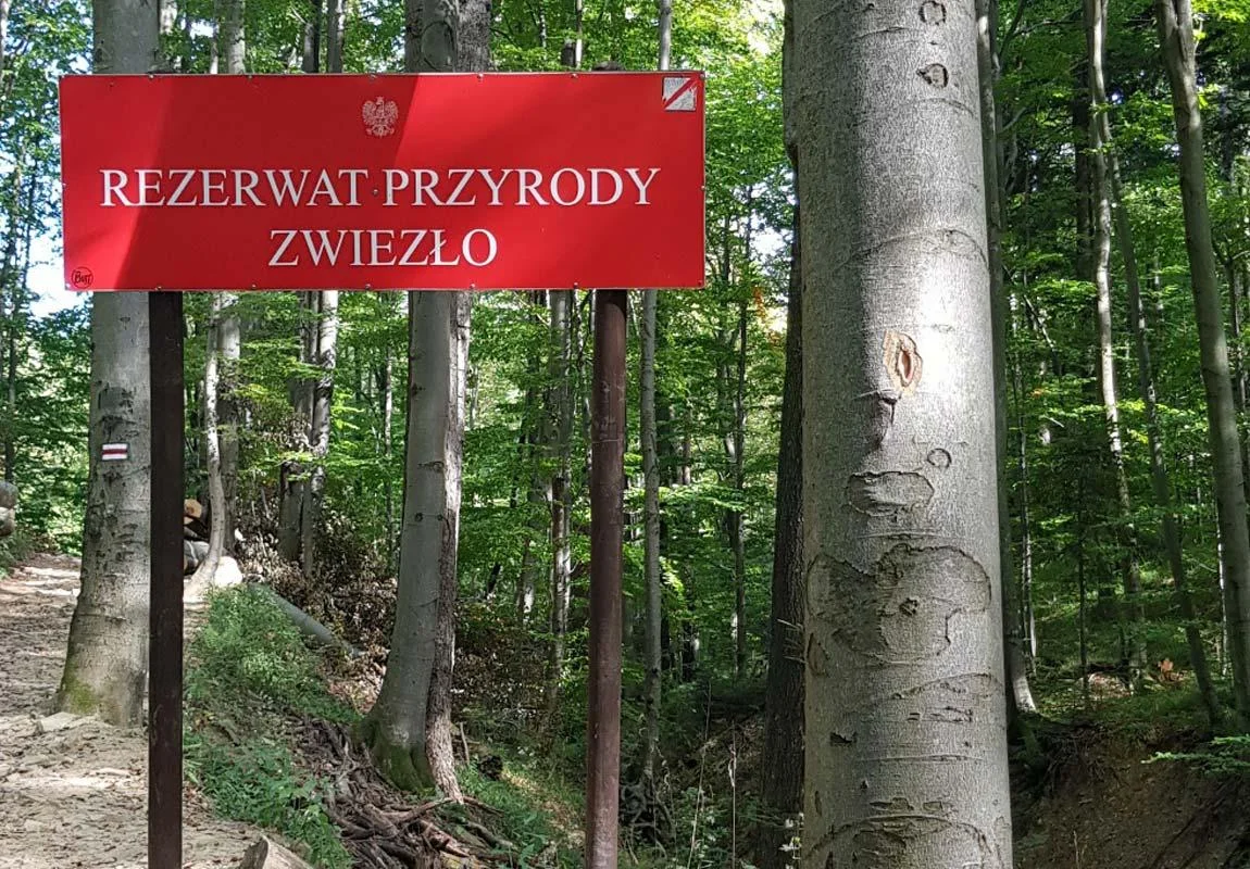 W drodze nad Jeziorka Duszatyńskie